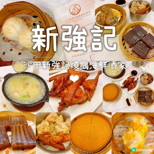 #蒸魚腩爸媽好介紹 🌸☕️🫖沙田新強記燒鵝海鮮酒家🦐🐟🐔🦆