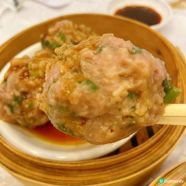 #蒸魚腩爸媽好介紹 🌸☕️🫖沙田新強記燒鵝海鮮酒家🦐🐟🐔🦆