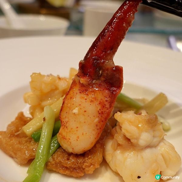 ⭐品味米芝蓮高級粵菜