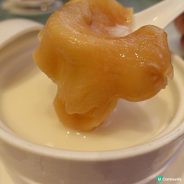 ⭐品味米芝蓮高級粵菜