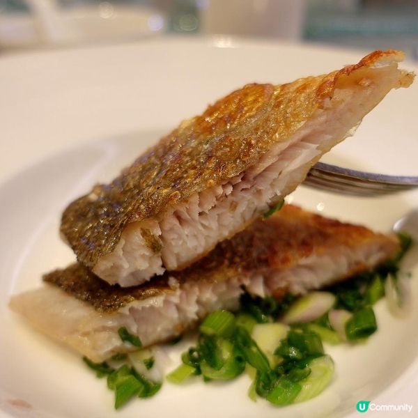 ⭐品味米芝蓮高級粵菜