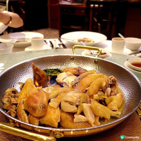 ⭐品味米芝蓮高級粵菜