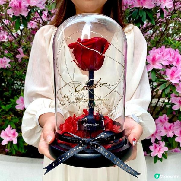 ❤️女朋友/老婆禮物精選❤️2) 首飾/永生花