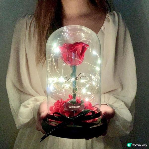 ❤️女朋友/老婆禮物精選❤️2) 首飾/永生花