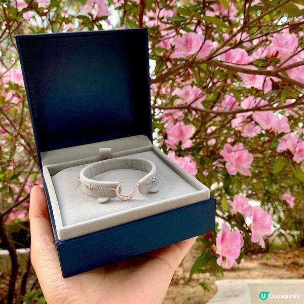 ❤️女朋友/老婆禮物精選❤️2) 首飾/永生花