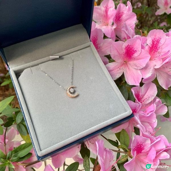 ❤️女朋友/老婆禮物精選❤️2) 首飾/永生花