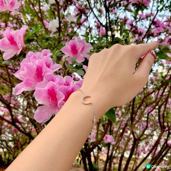 ❤️女朋友/老婆禮物精選❤️2) 首飾/永生花