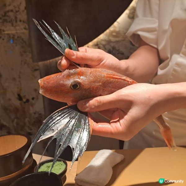 鬧市中一點寧靜omakase