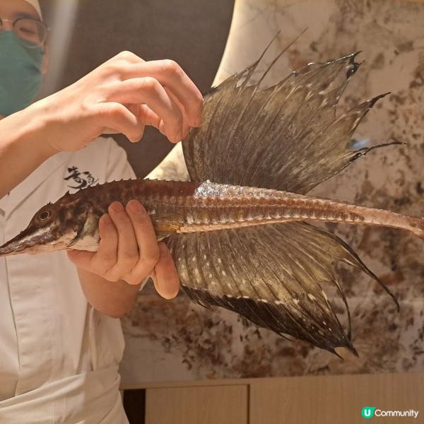 鬧市中一點寧靜omakase