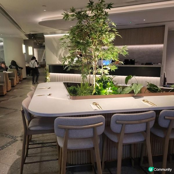 集餐廳、酒吧同埋文化展覽嘅全新概念店