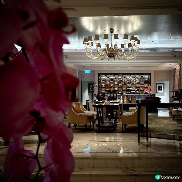 Stay Fabulous in Palm Court！