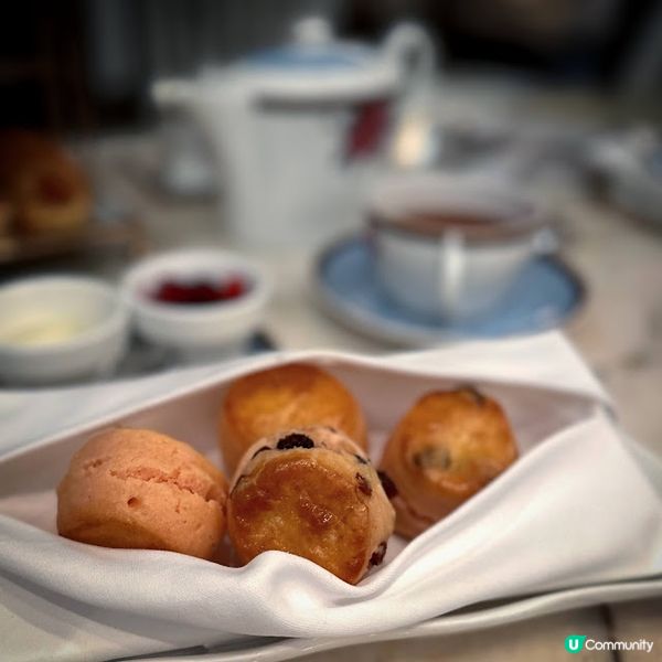 Stay Fabulous in Palm Court！