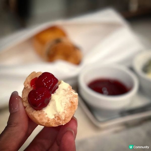 Stay Fabulous in Palm Court！