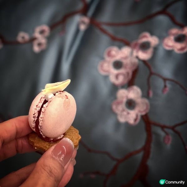 Stay Fabulous in Palm Court！