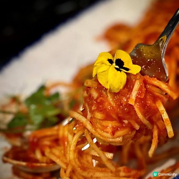 *芝味松松*@CIELOS