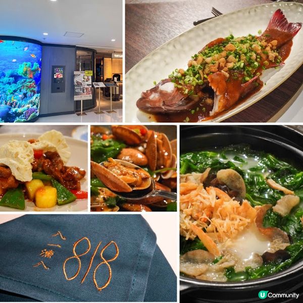 【飲食】尖沙咀．走創意料理路線、以海鮮為主題的中菜廳｜八一漁八 818 THE SEAFOOD