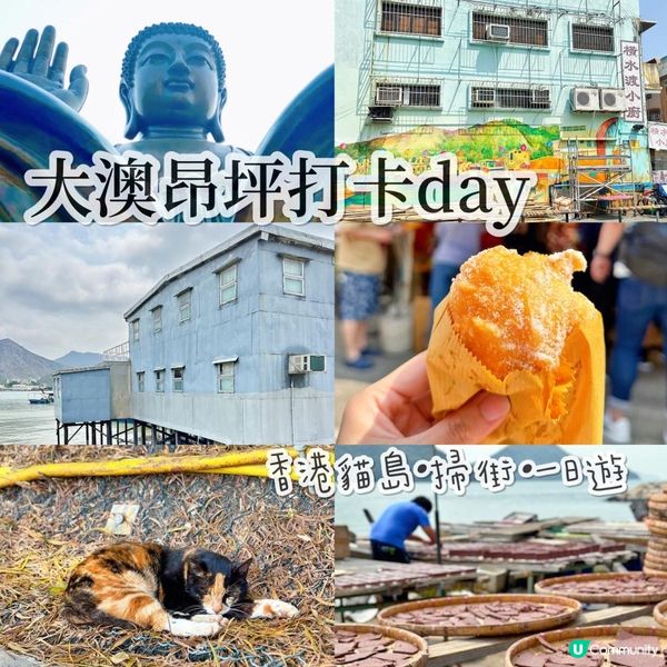 <香港好去處> 大澳貓島🐈一日遊
