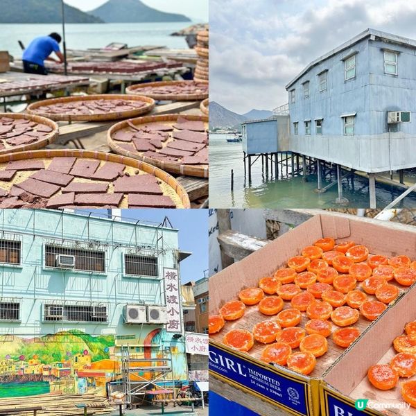<香港好去處> 大澳貓島🐈一日遊