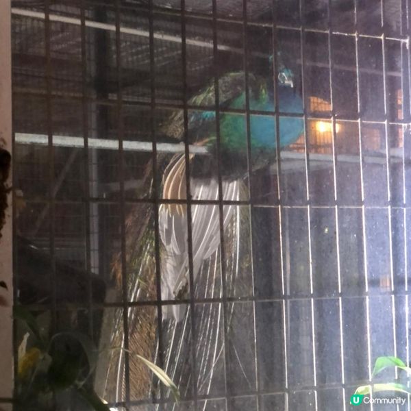 香港僅有園林酒店