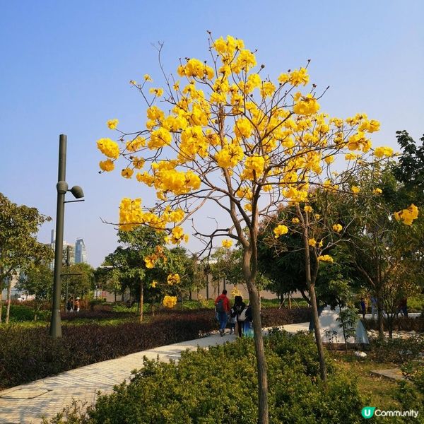 跑步路線推介 2 – 西九龍海濱長廊