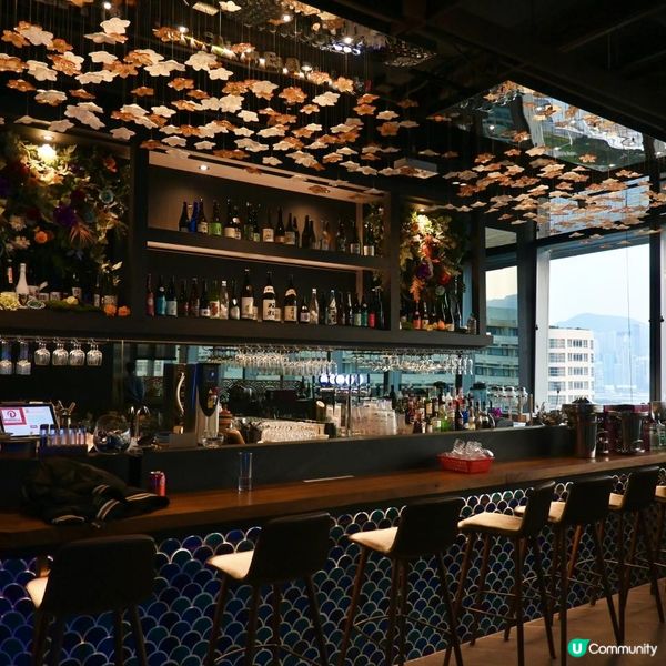 ❣️尖沙咀花楽