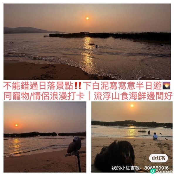 不能錯過日落景點! 下白泥半日遊 日落美景 浪漫打卡 流浮山食海鮮邊間好??