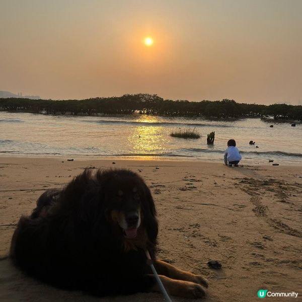 不能錯過日落景點! 下白泥半日遊 日落美景 浪漫打卡 流浮山食海鮮邊間好??