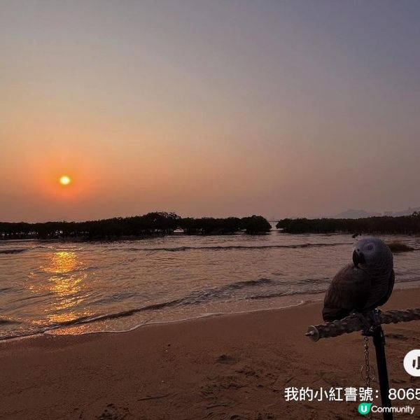 不能錯過日落景點! 下白泥半日遊 日落美景 浪漫打卡 流浮山食海鮮邊間好??