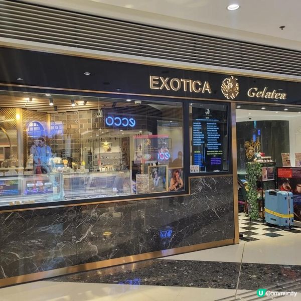 Exotica Gelatea 