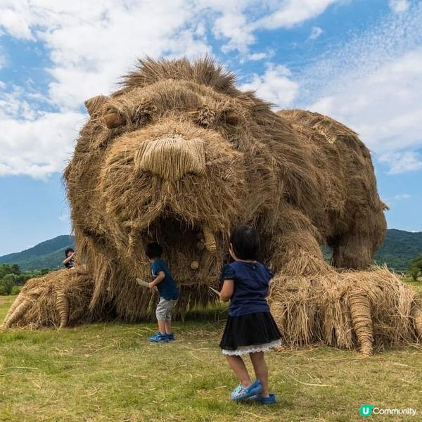 わらアートフェス Wara Art festival