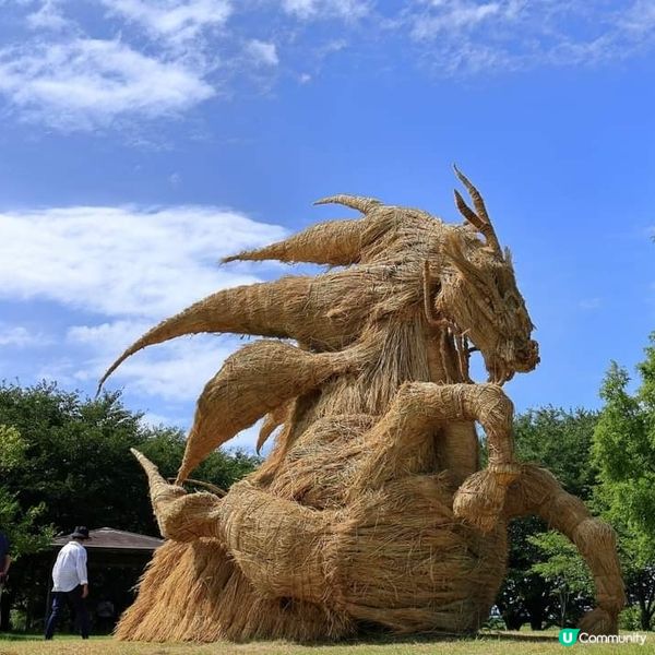 わらアートフェス Wara Art festival