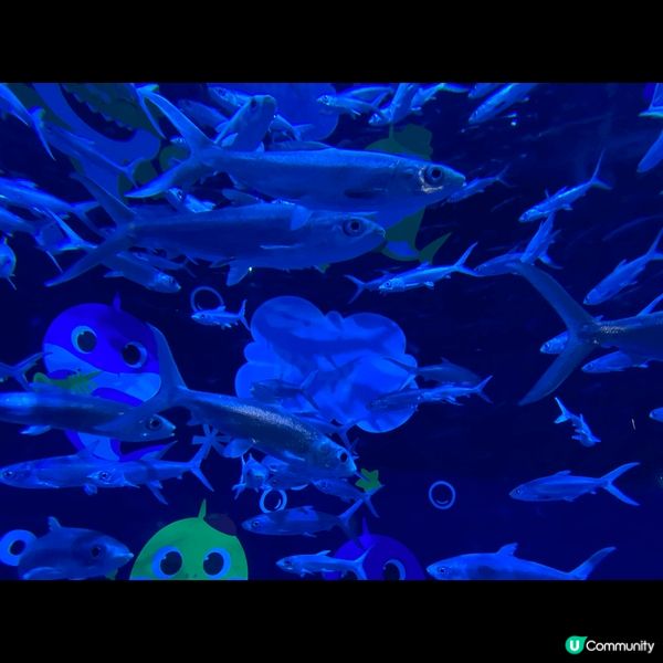 海洋公園海洋館，熱辣辣最好行入來探?魚仔嘆?冷氣