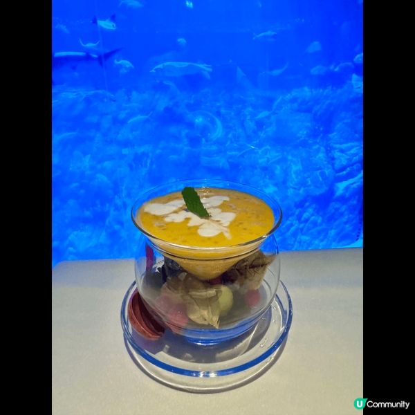 海洋公園海龍王餐廳的楊枝甘露十分精緻，可以媲美米芝蓮餐廳，上...
