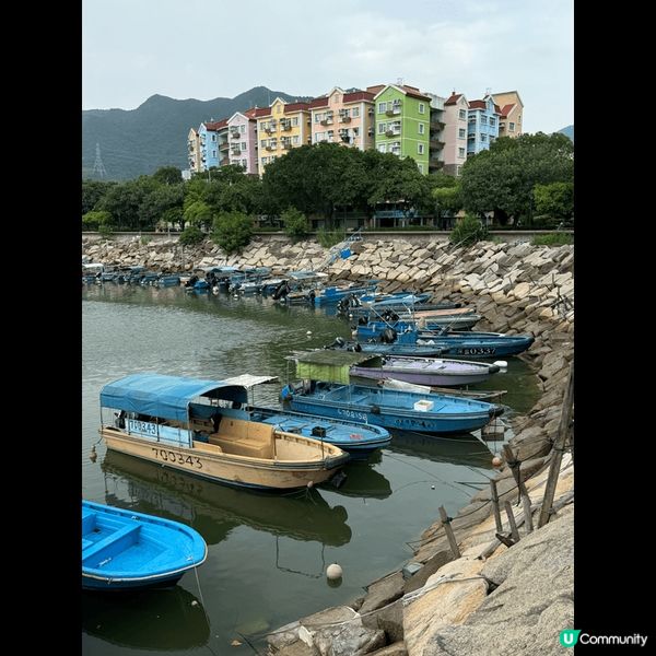 沙頭角位於香港新界北區，被列為邊境禁區。隨?該區逐步開放，沙...