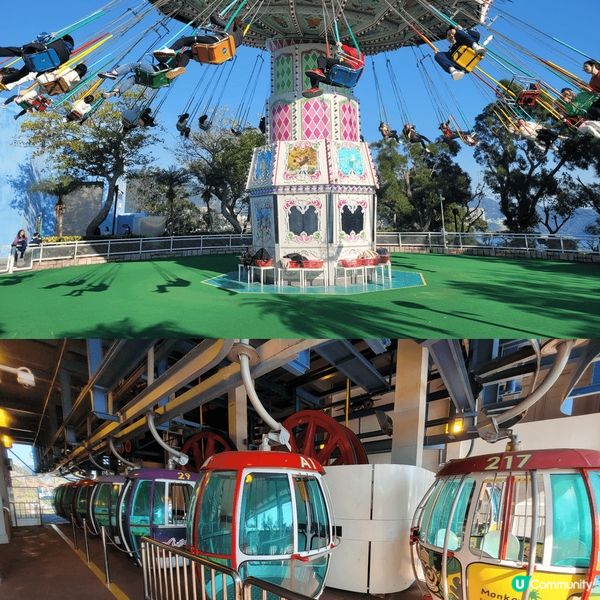 香港必選經典景點???多姿多彩的海洋公園??????????...