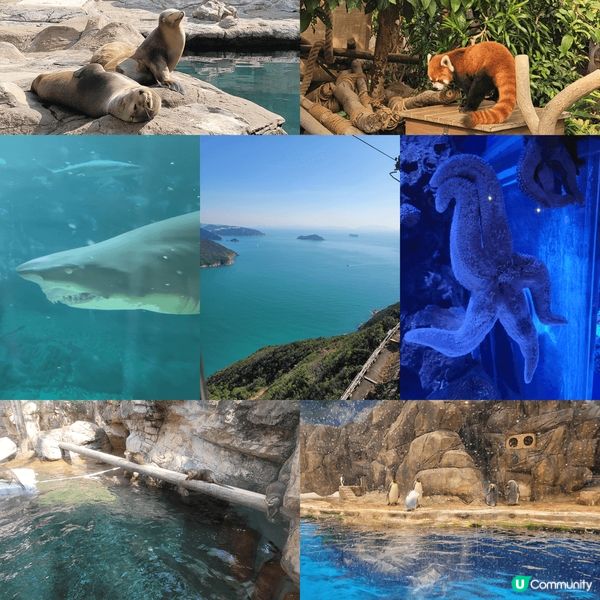 香港必選經典景點???多姿多彩的海洋公園??????????...