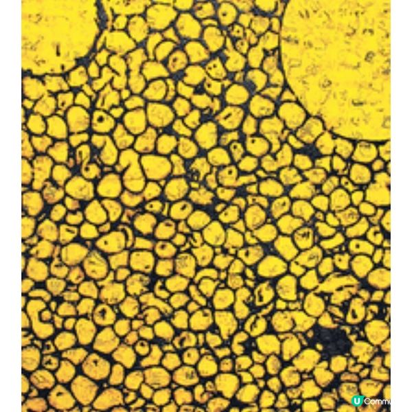 ART021 HONG KONG + HKT西
九音樂節