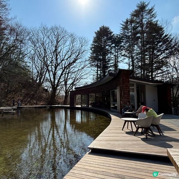 真正森系打卡點