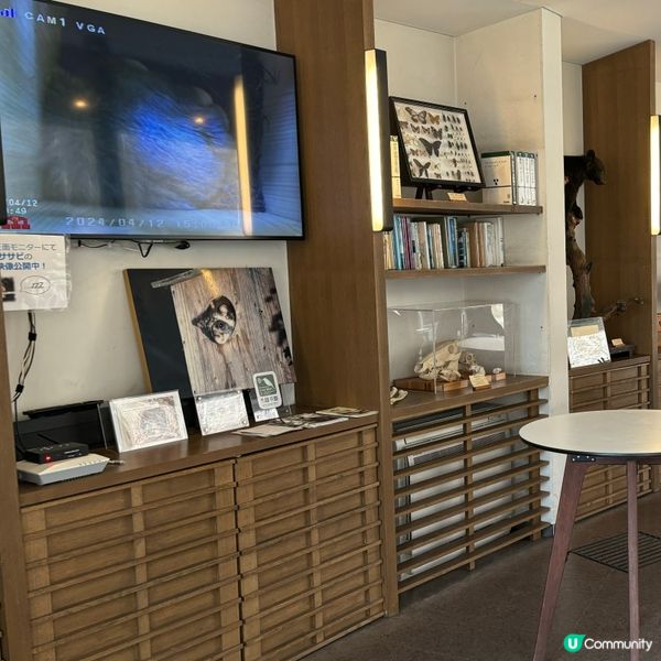 真正森系打卡點