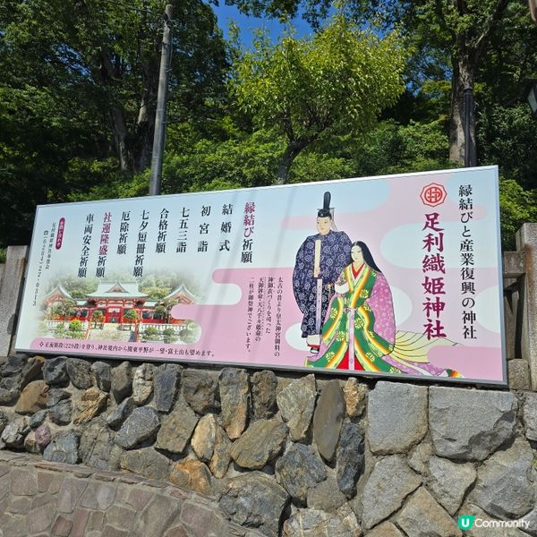 足利7色鳥居⛩️一次過滿足你7個願望🤩🤩