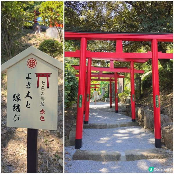 足利7色鳥居⛩️一次過滿足你7個願望🤩🤩