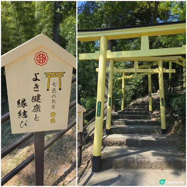 足利7色鳥居⛩️一次過滿足你7個願望🤩🤩