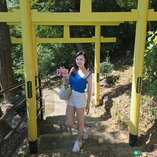 足利7色鳥居⛩️一次過滿足你7個願望🤩🤩