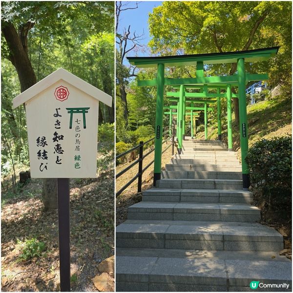 足利7色鳥居⛩️一次過滿足你7個願望🤩🤩