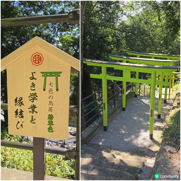 足利7色鳥居⛩️一次過滿足你7個願望🤩🤩