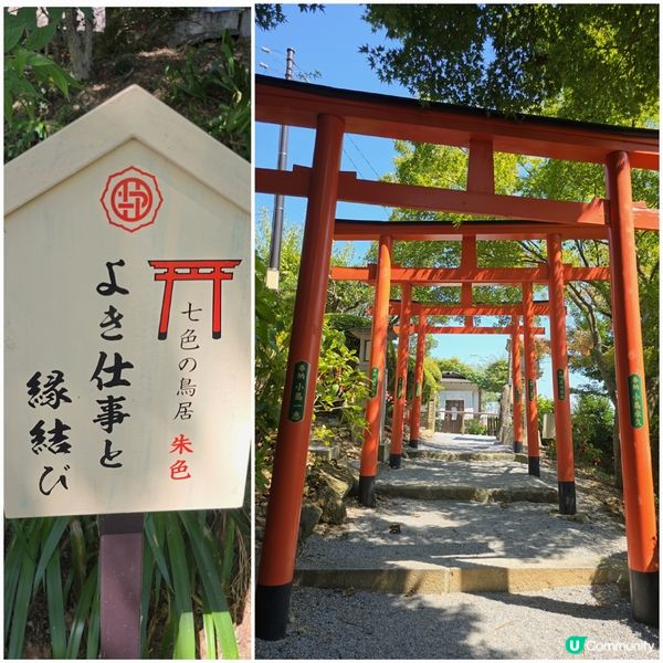 足利7色鳥居⛩️一次過滿足你7個願望🤩🤩