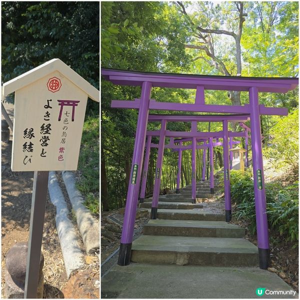 足利7色鳥居⛩️一次過滿足你7個願望🤩🤩