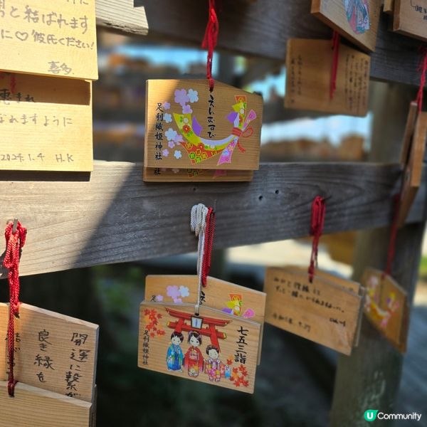 足利7色鳥居⛩️一次過滿足你7個願望🤩🤩