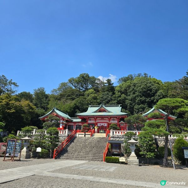 足利7色鳥居⛩️一次過滿足你7個願望🤩🤩