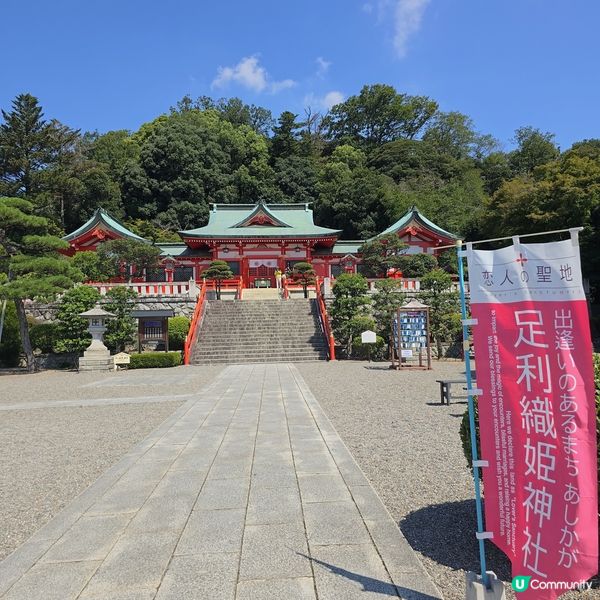 足利7色鳥居⛩️一次過滿足你7個願望🤩🤩